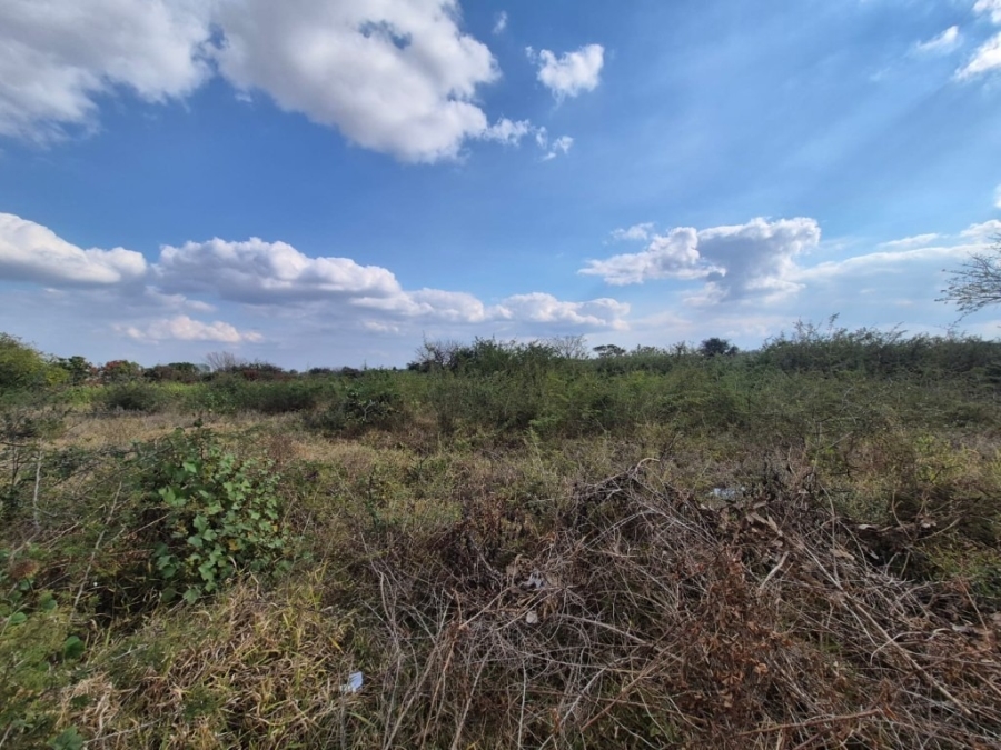 0 Bedroom Property for Sale in Phalaborwa Rural Limpopo
