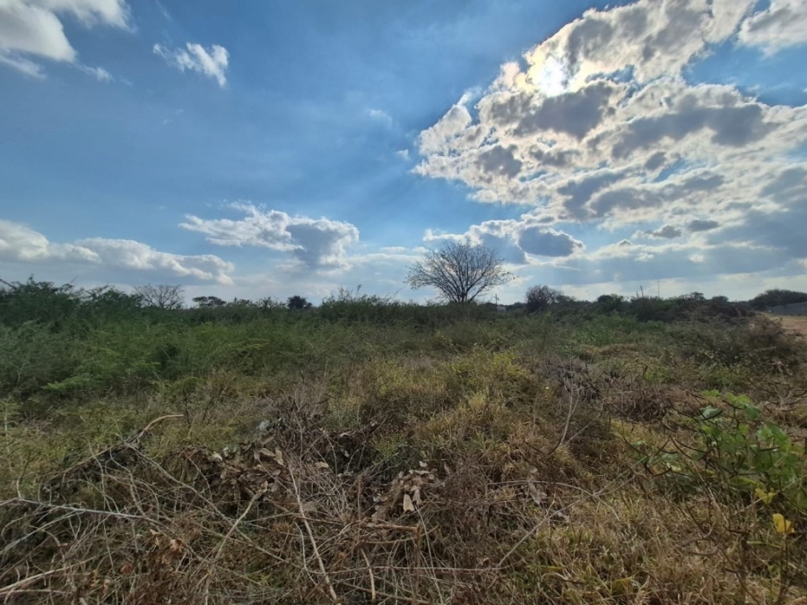 0 Bedroom Property for Sale in Phalaborwa Rural Limpopo