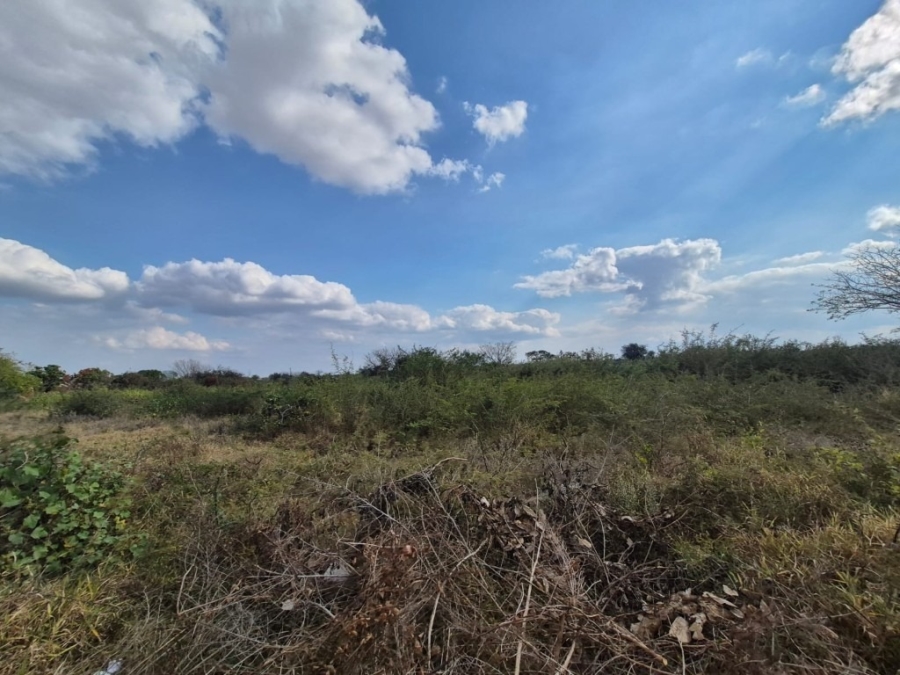 0 Bedroom Property for Sale in Phalaborwa Rural Limpopo
