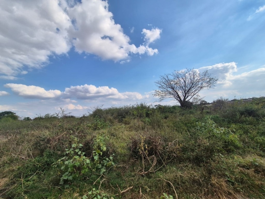 0 Bedroom Property for Sale in Phalaborwa Rural Limpopo