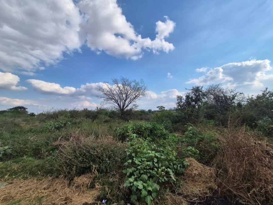0 Bedroom Property for Sale in Phalaborwa Rural Limpopo