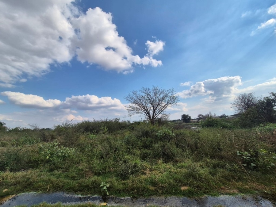 0 Bedroom Property for Sale in Phalaborwa Rural Limpopo