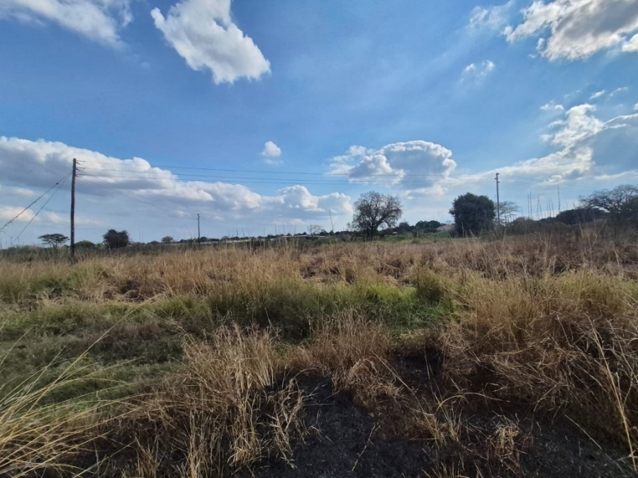 0 Bedroom Property for Sale in Phalaborwa Rural Limpopo