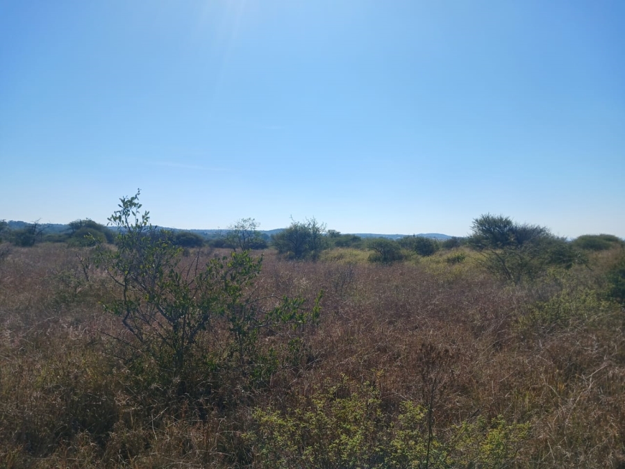 0 Bedroom Property for Sale in Kalkfontein A H Limpopo
