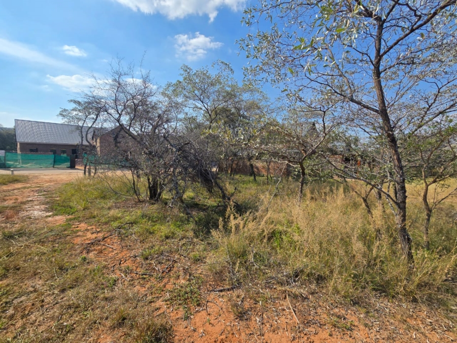 0 Bedroom Property for Sale in Bela Bela Limpopo