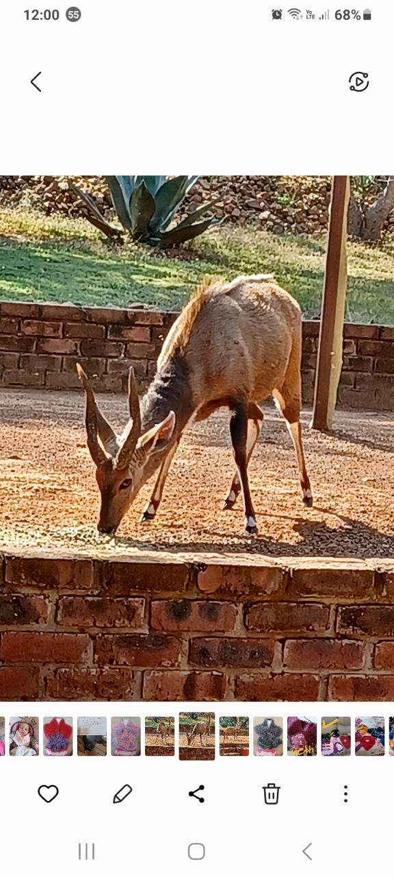 0 Bedroom Property for Sale in Driefontein AH Limpopo