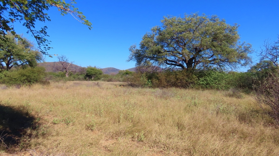 8 Bedroom Property for Sale in Lephalale Limpopo