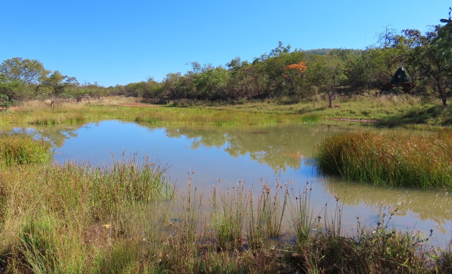 8 Bedroom Property for Sale in Lephalale Limpopo