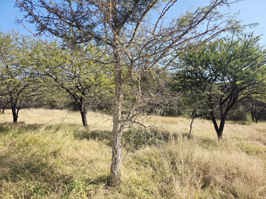 25 Bedroom Property for Sale in Bela Bela Limpopo