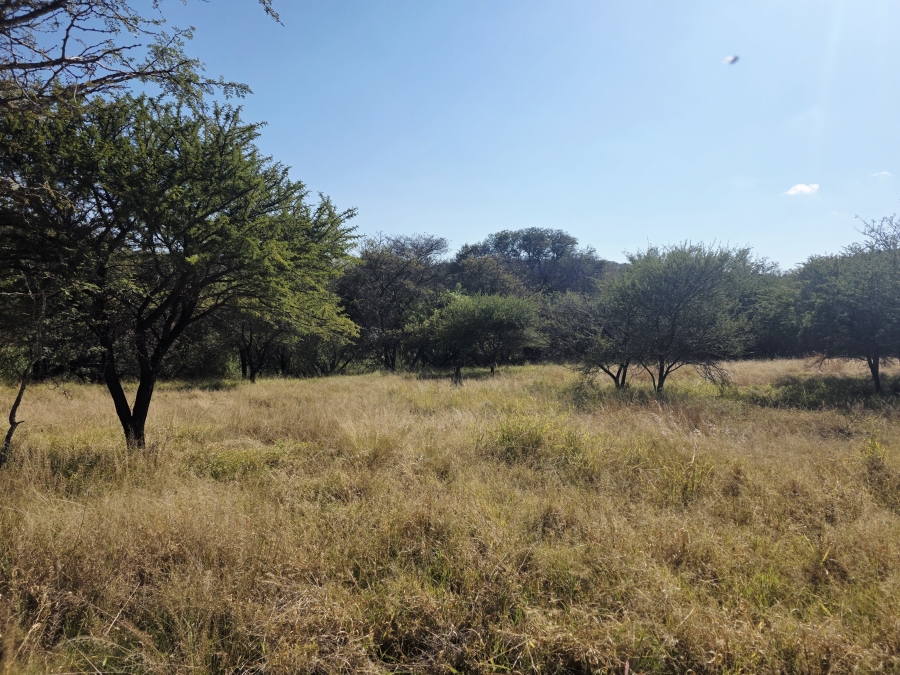 25 Bedroom Property for Sale in Bela Bela Limpopo