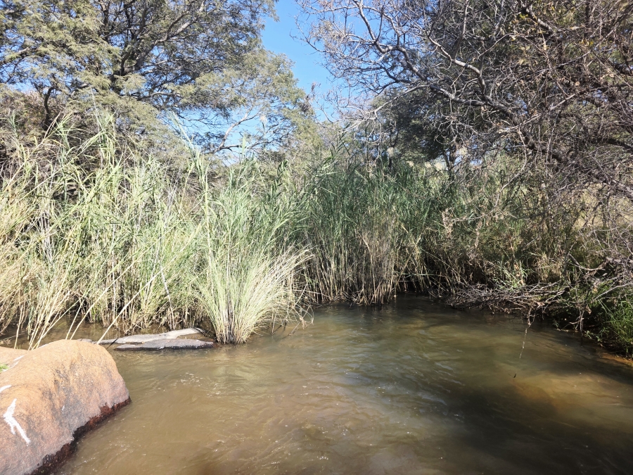 25 Bedroom Property for Sale in Bela Bela Limpopo