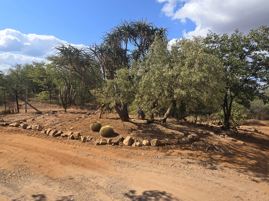 5 Bedroom Property for Sale in Mopane Limpopo