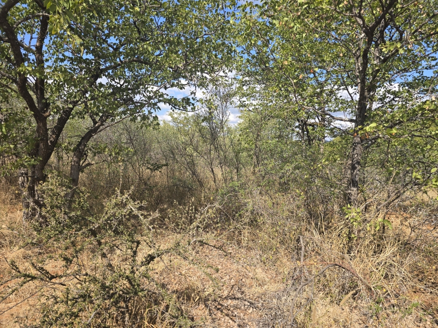 5 Bedroom Property for Sale in Mopane Limpopo