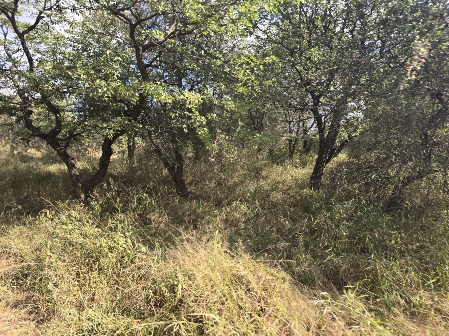 5 Bedroom Property for Sale in Mopane Limpopo