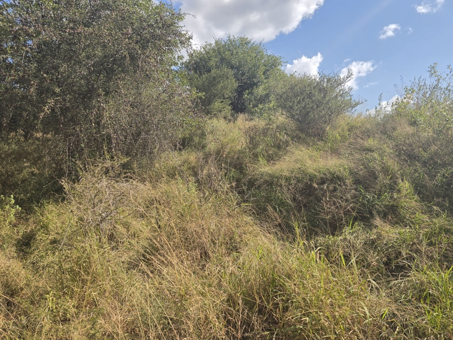 5 Bedroom Property for Sale in Mopane Limpopo