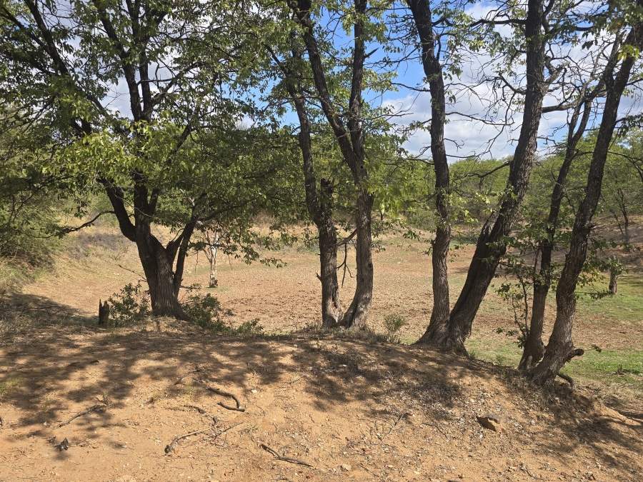 5 Bedroom Property for Sale in Mopane Limpopo