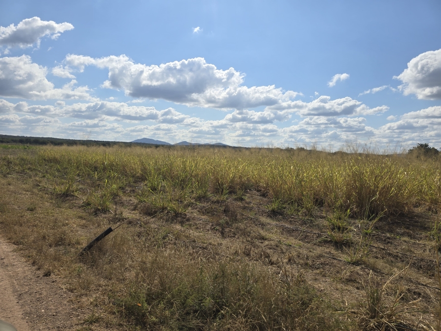 5 Bedroom Property for Sale in Mopane Limpopo