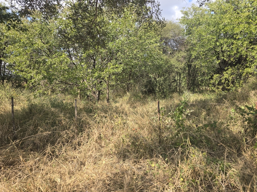 5 Bedroom Property for Sale in Mopane Limpopo