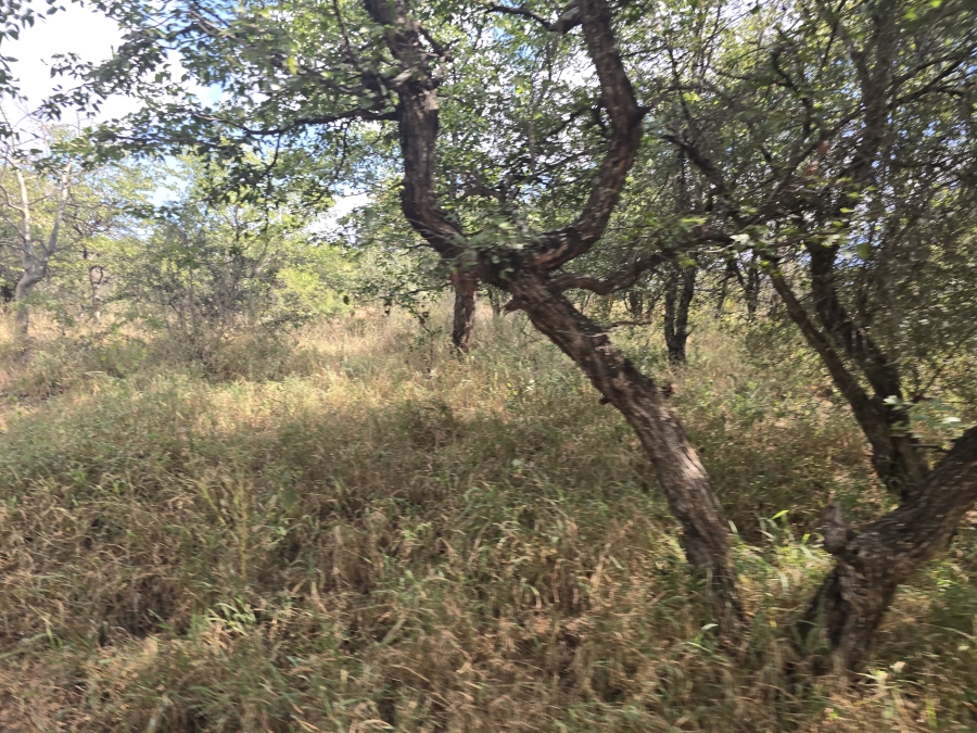 5 Bedroom Property for Sale in Mopane Limpopo