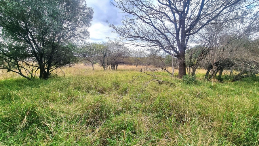 4 Bedroom Property for Sale in Koro Creek Golf Estate Limpopo