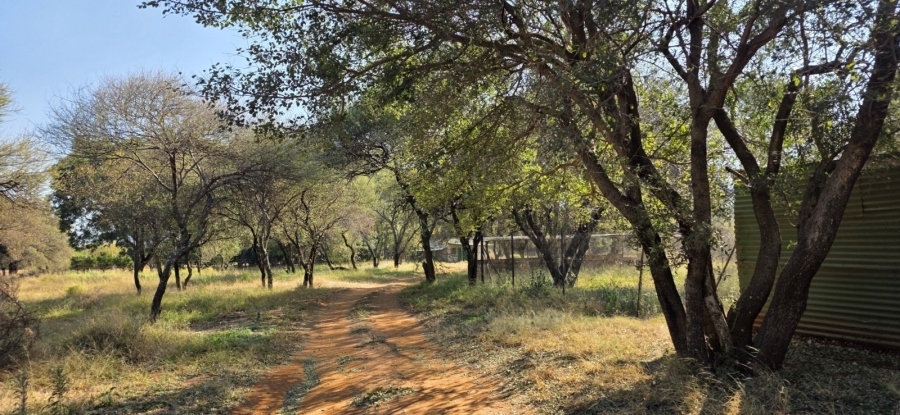 6 Bedroom Property for Sale in Bela Bela Limpopo
