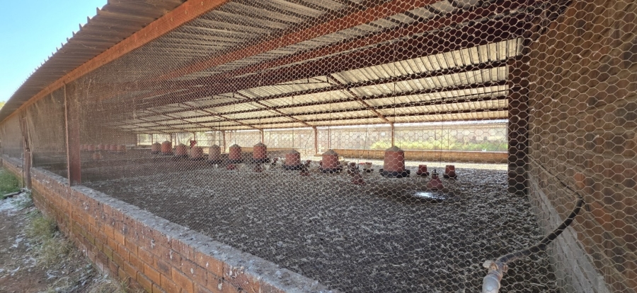 6 Bedroom Property for Sale in Bela Bela Limpopo