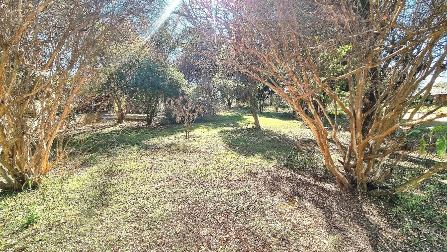 3 Bedroom Property for Sale in Modimolle Limpopo