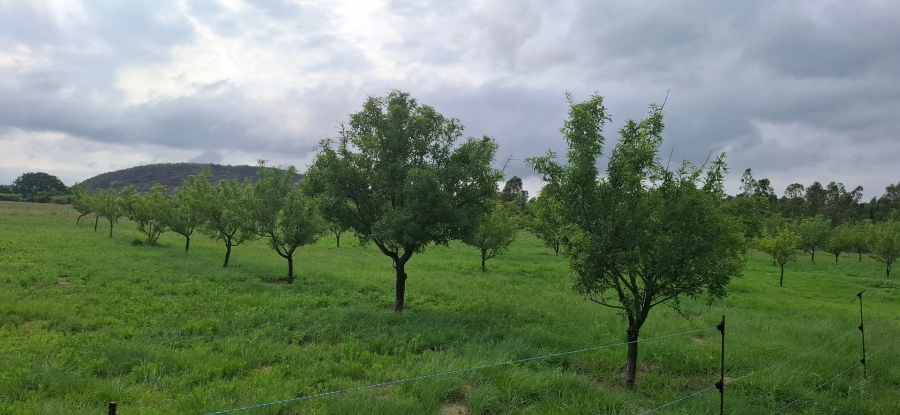 6 Bedroom Property for Sale in Bela Bela Limpopo