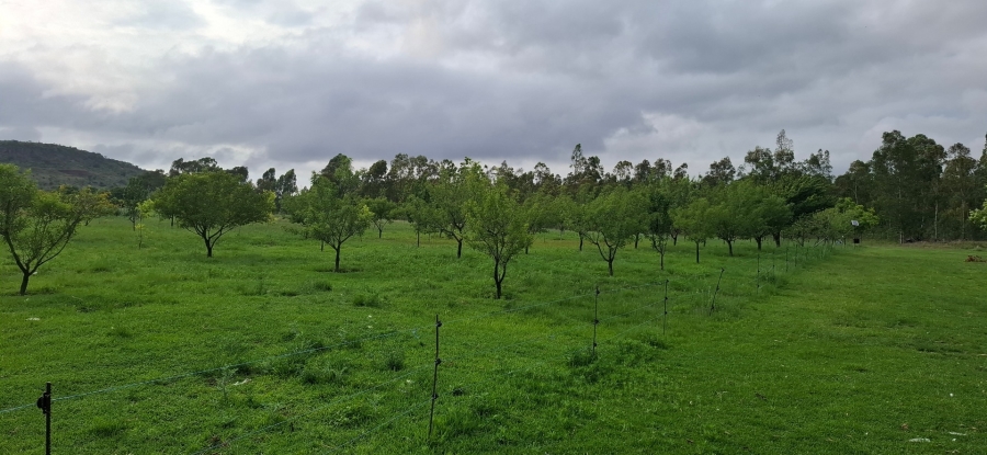 6 Bedroom Property for Sale in Bela Bela Limpopo
