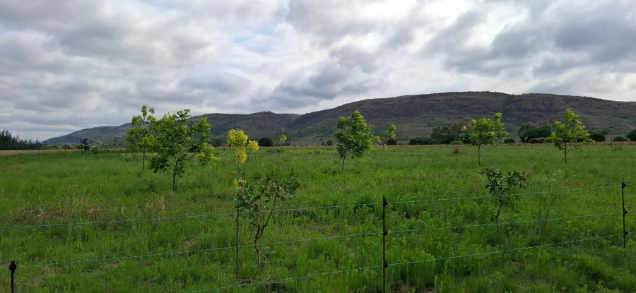 6 Bedroom Property for Sale in Bela Bela Limpopo