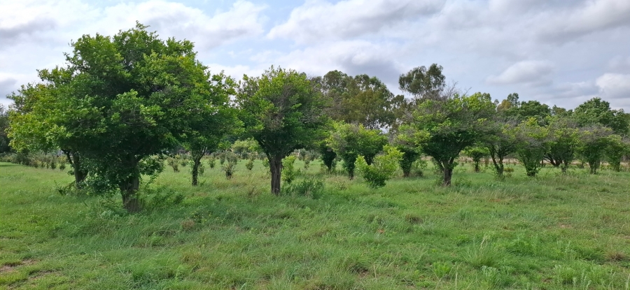 6 Bedroom Property for Sale in Bela Bela Limpopo