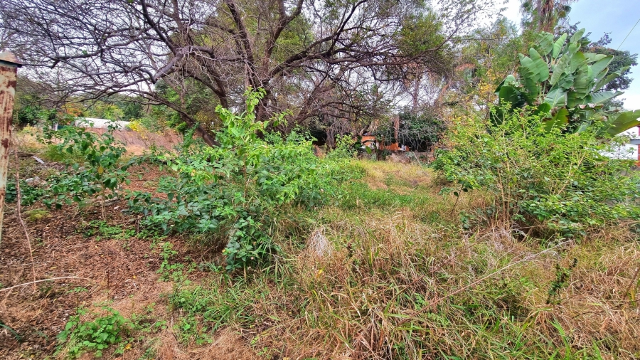 0 Bedroom Property for Sale in Modimolle Limpopo