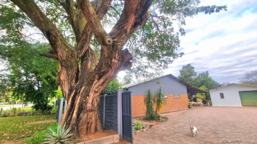 4 Bedroom Property for Sale in Modimolle Limpopo