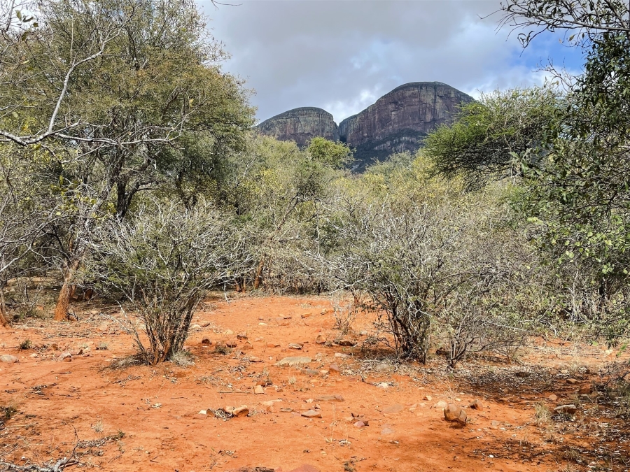0 Bedroom Property for Sale in Canyon Game Reserve Limpopo