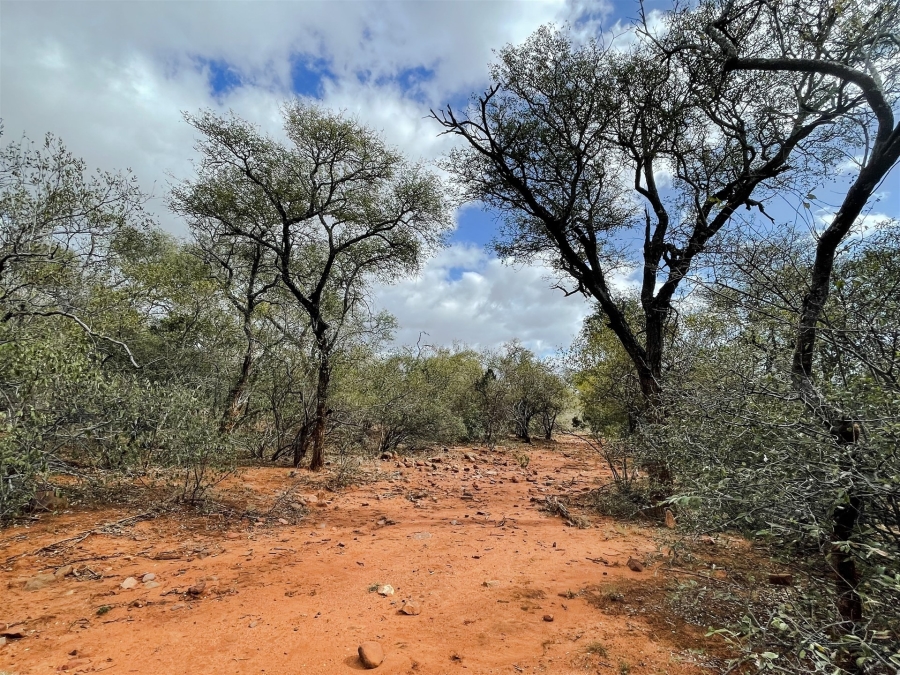 0 Bedroom Property for Sale in Canyon Game Reserve Limpopo