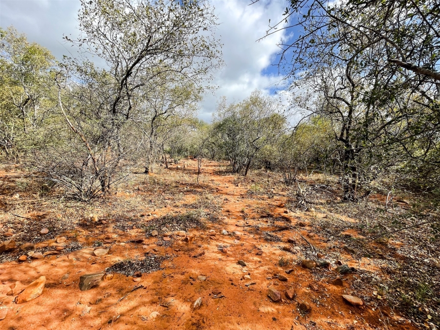 0 Bedroom Property for Sale in Canyon Game Reserve Limpopo