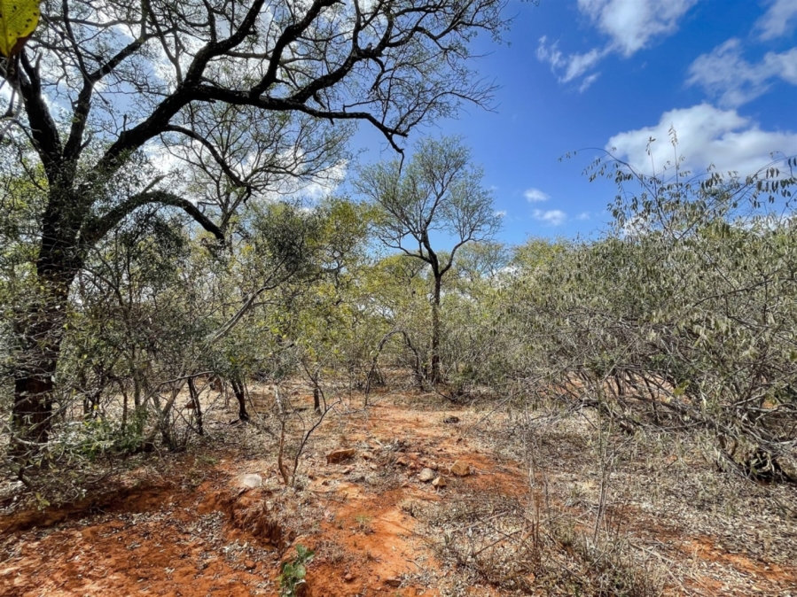 0 Bedroom Property for Sale in Canyon Game Reserve Limpopo