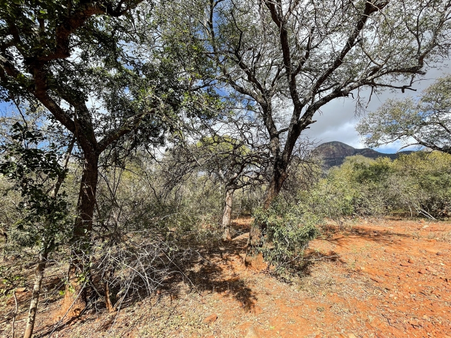 0 Bedroom Property for Sale in Canyon Game Reserve Limpopo