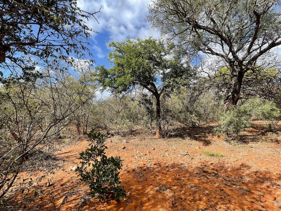 0 Bedroom Property for Sale in Canyon Game Reserve Limpopo