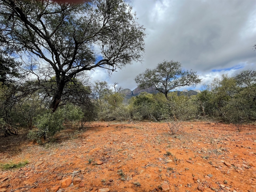 0 Bedroom Property for Sale in Canyon Game Reserve Limpopo