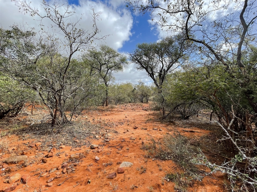 0 Bedroom Property for Sale in Canyon Game Reserve Limpopo