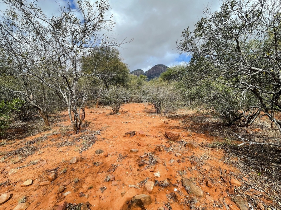 0 Bedroom Property for Sale in Canyon Game Reserve Limpopo