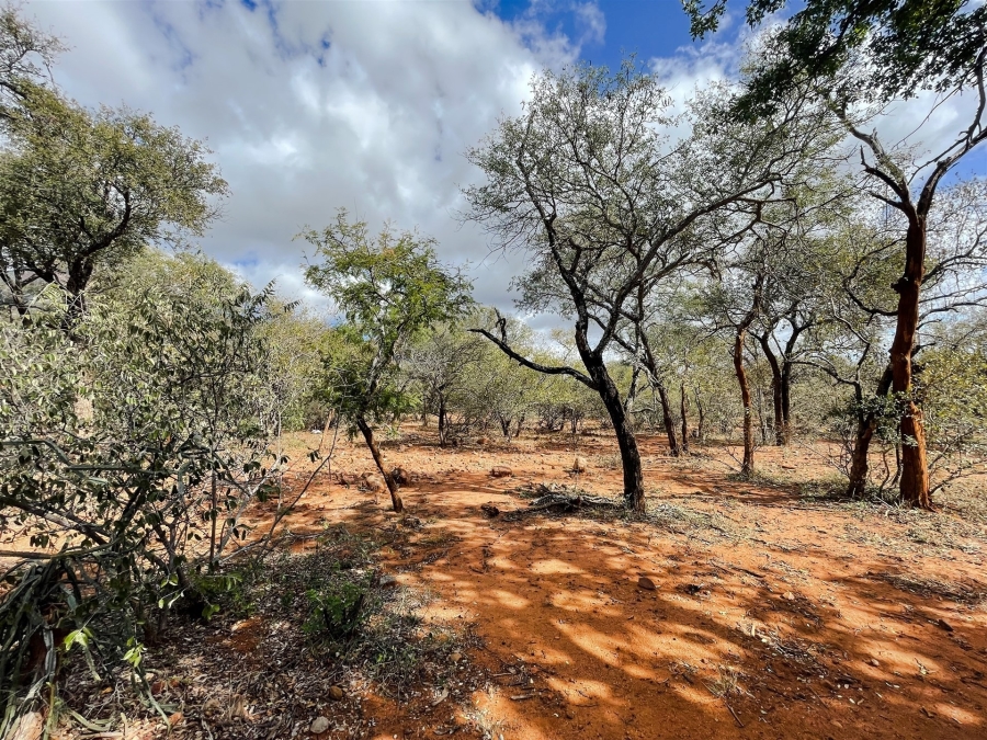 0 Bedroom Property for Sale in Canyon Game Reserve Limpopo
