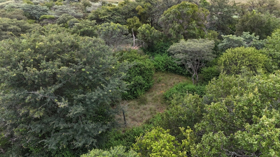 8 Bedroom Property for Sale in Bela Bela Limpopo