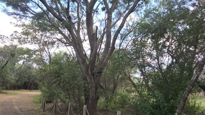 8 Bedroom Property for Sale in Bela Bela Limpopo
