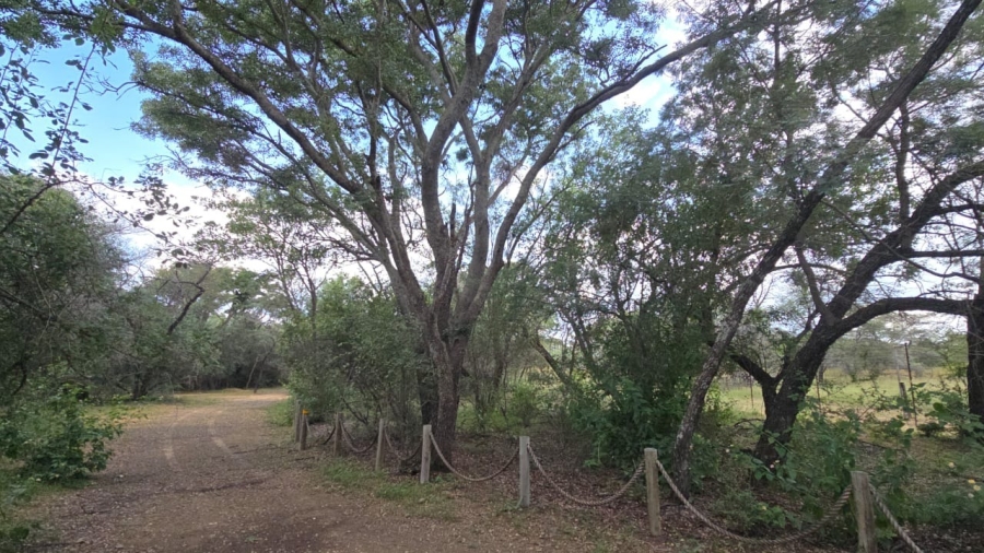 8 Bedroom Property for Sale in Bela Bela Limpopo