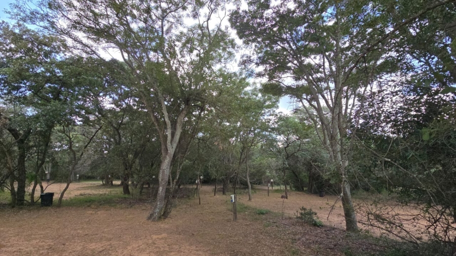 8 Bedroom Property for Sale in Bela Bela Limpopo