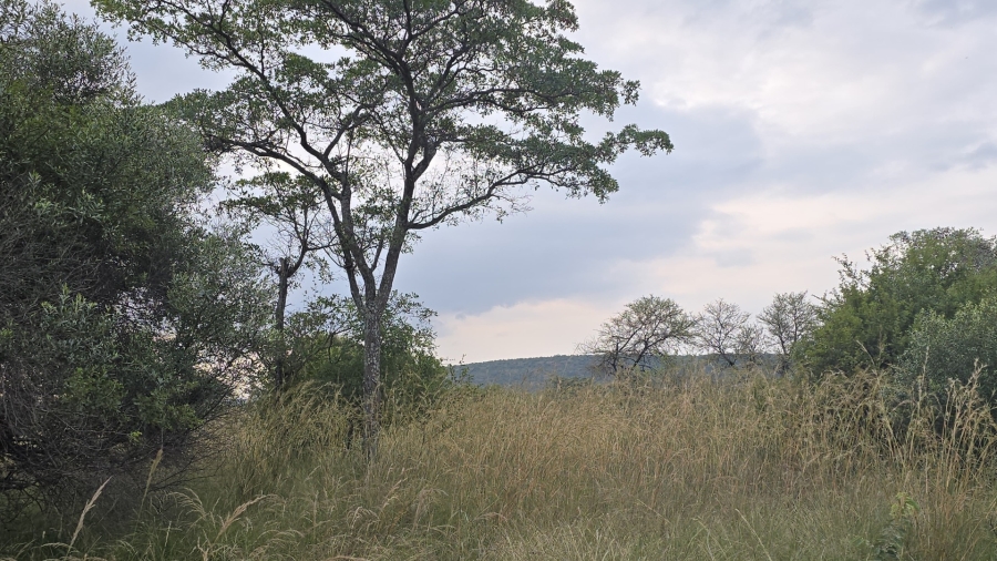 8 Bedroom Property for Sale in Bela Bela Limpopo
