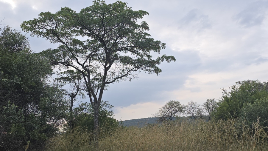 8 Bedroom Property for Sale in Bela Bela Limpopo