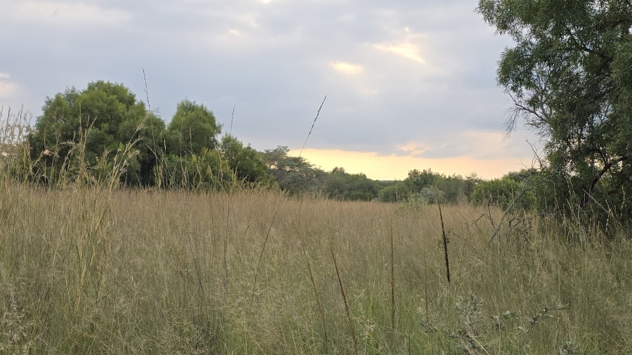 8 Bedroom Property for Sale in Bela Bela Limpopo